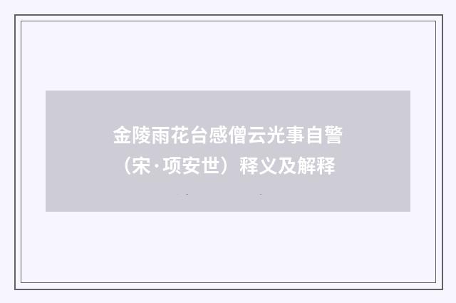 金陵雨花台感僧云光事自警（宋·项安世）释义及解释