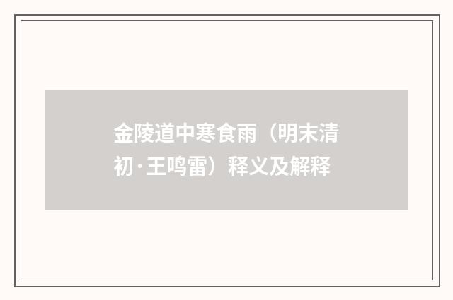 金陵道中寒食雨（明末清初·王鸣雷）释义及解释