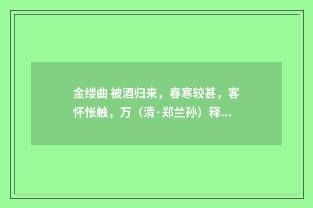 金缕曲 被酒归来，春寒较甚，客怀怅触，万（清·郑兰孙）释义及解释