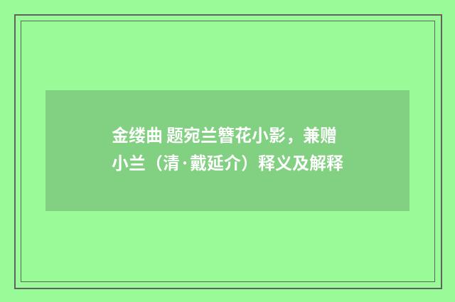 金缕曲 题宛兰簪花小影，兼赠小兰（清·戴延介）释义及解释