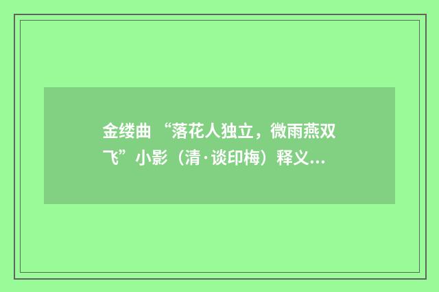 金缕曲 “落花人独立，微雨燕双飞”小影（清·谈印梅）释义及解释