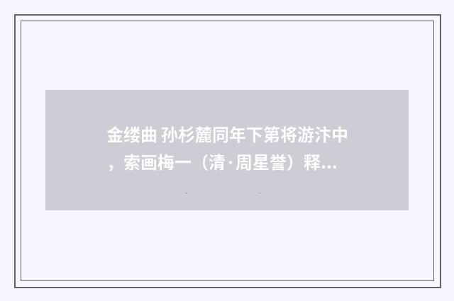 金缕曲 孙杉麓同年下第将游汴中，索画梅一（清·周星誉）释义及解释