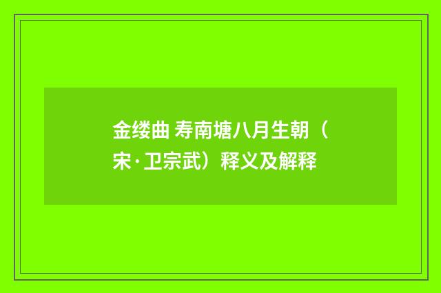 金缕曲 寿南塘八月生朝（宋·卫宗武）释义及解释