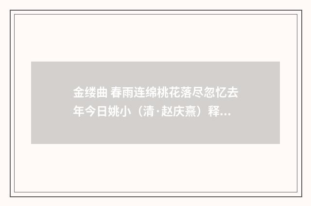 金缕曲 春雨连绵桃花落尽忽忆去年今日姚小（清·赵庆熹）释义及解释