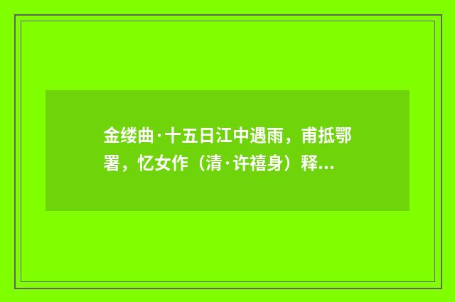 金缕曲·十五日江中遇雨，甫抵鄂署，忆女作（清·许禧身）释义及解释