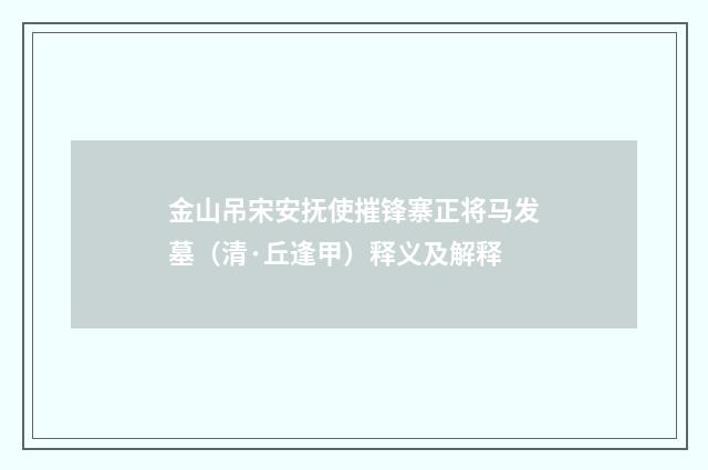 金山吊宋安抚使摧锋寨正将马发墓（清·丘逢甲）释义及解释