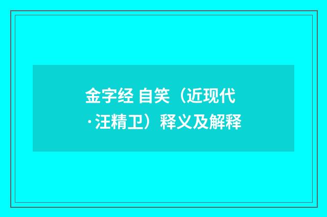 金字经 自笑（近现代·汪精卫）释义及解释