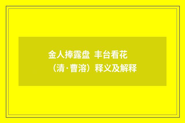 金人捧露盘 丰台看花（清·曹溶）释义及解释