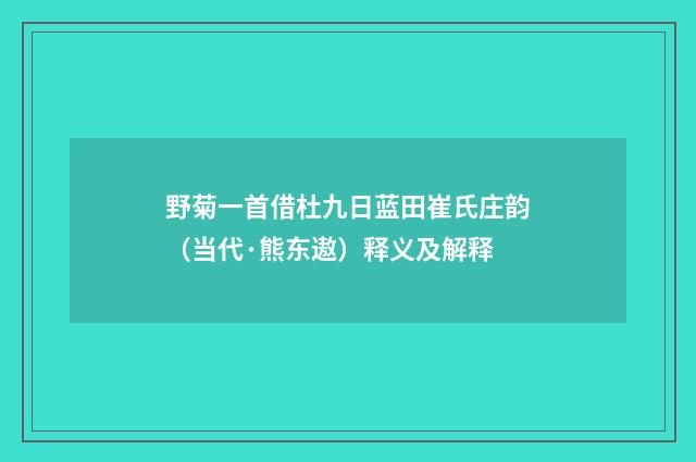 野菊一首借杜九日蓝田崔氏庄韵（当代·熊东遨）释义及解释