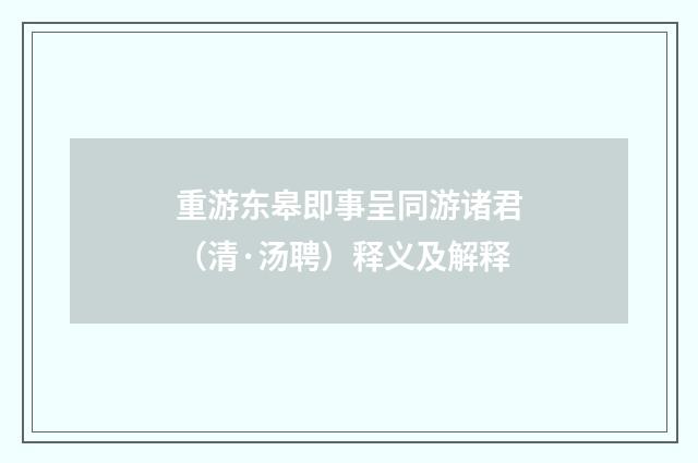 重游东皋即事呈同游诸君（清·汤聘）释义及解释
