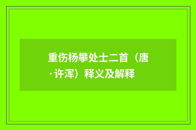 重伤杨攀处士二首（唐·许浑）释义及解释
