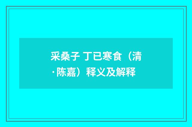 采桑子 丁已寒食（清·陈嘉）释义及解释