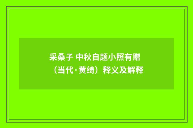 采桑子 中秋自题小照有赠（当代·黄绮）释义及解释