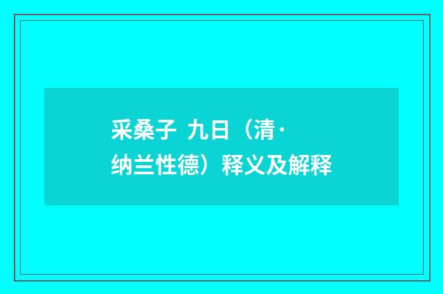 采桑子 九日（清·纳兰性德）释义及解释