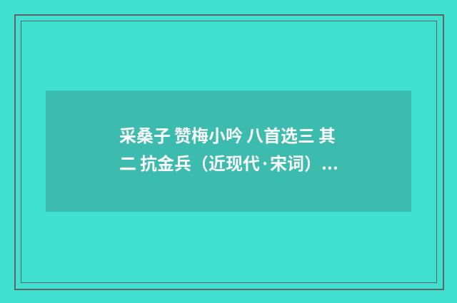 采桑子 赞梅小吟 八首选三 其二 抗金兵（近现代·宋词）释义及解释