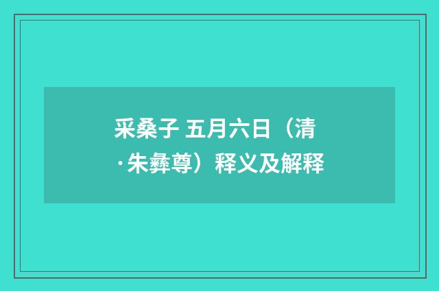 采桑子 五月六日（清·朱彝尊）释义及解释
