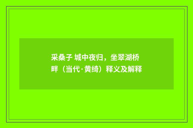 采桑子 城中夜归，坐翠湖桥畔（当代·黄绮）释义及解释