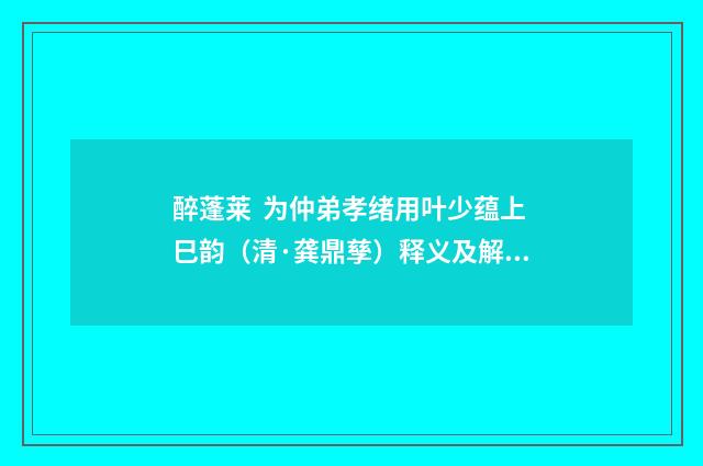 醉蓬莱 为仲弟孝绪用叶少蕴上巳韵（清·龚鼎孳）释义及解释