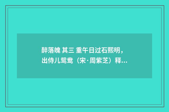 醉落魄 其三 重午日过石熙明，出侍儿鸳鸯（宋·周紫芝）释义及解释