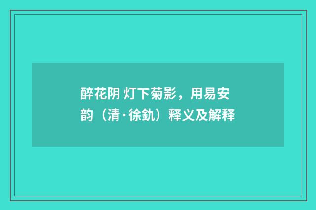 醉花阴 灯下菊影，用易安韵（清·徐釚）释义及解释