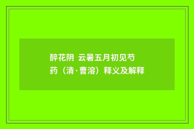 醉花阴 云暑五月初见芍药（清·曹溶）释义及解释