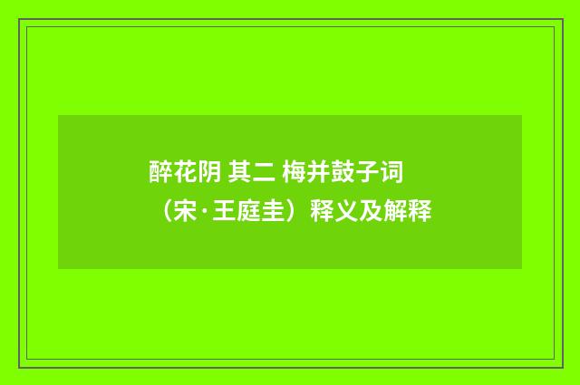 醉花阴 其二 梅并鼓子词（宋·王庭圭）释义及解释