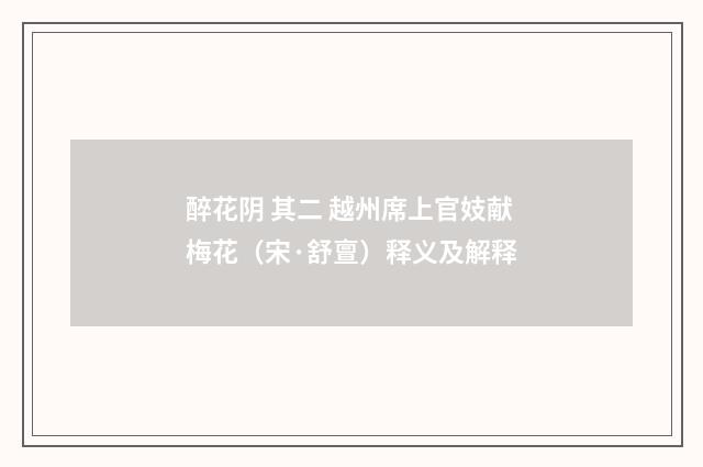 醉花阴 其二 越州席上官妓献梅花（宋·舒亶）释义及解释