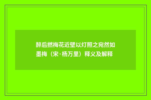 醉后撚梅花近壁以灯照之宛然如墨梅（宋·杨万里）释义及解释