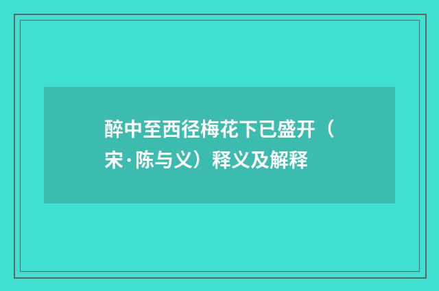 醉中至西径梅花下已盛开（宋·陈与义）释义及解释