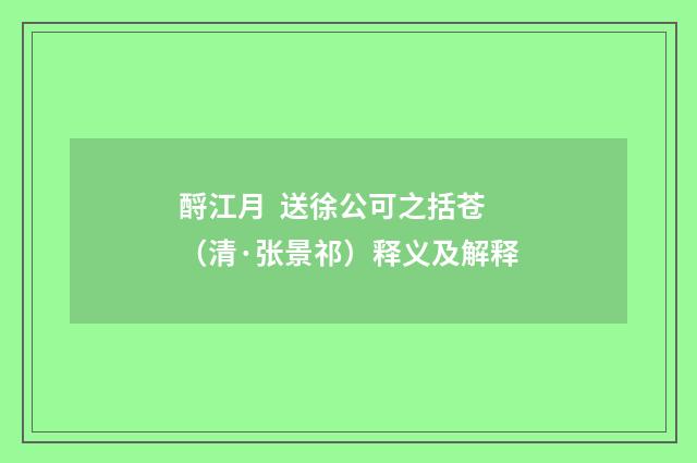 酹江月 送徐公可之括苍（清·张景祁）释义及解释