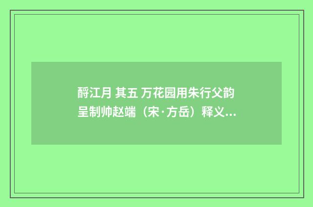 酹江月 其五 万花园用朱行父韵呈制帅赵端（宋·方岳）释义及解释