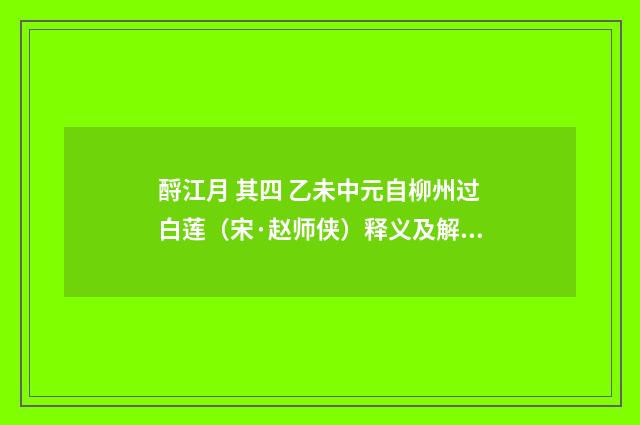 酹江月 其四 乙未中元自柳州过白莲（宋·赵师侠）释义及解释