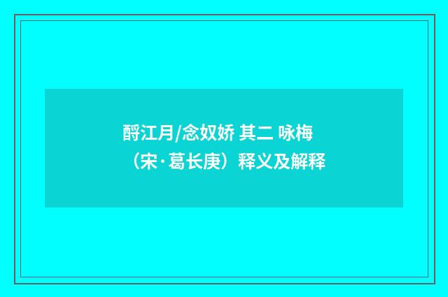 酹江月/念奴娇 其二 咏梅（宋·葛长庚）释义及解释