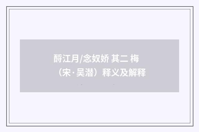 酹江月/念奴娇 其二 梅（宋·吴潜）释义及解释