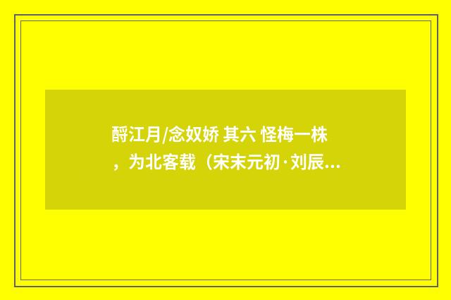 酹江月/念奴娇 其六 怪梅一株，为北客载（宋末元初·刘辰翁）释义及解释