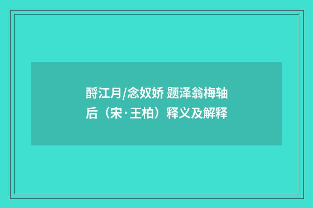 酹江月/念奴娇 题泽翁梅轴后（宋·王柏）释义及解释