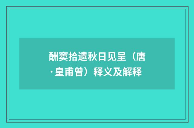 酬窦拾遗秋日见呈（唐·皇甫曾）释义及解释