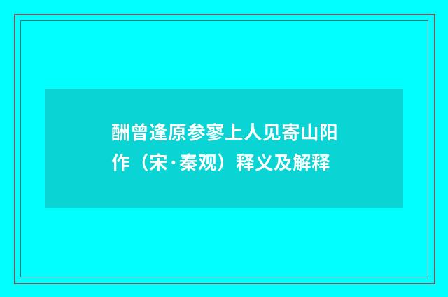 酬曾逢原参寥上人见寄山阳作（宋·秦观）释义及解释
