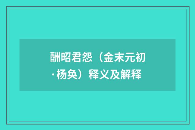 酬昭君怨（金末元初·杨奂）释义及解释