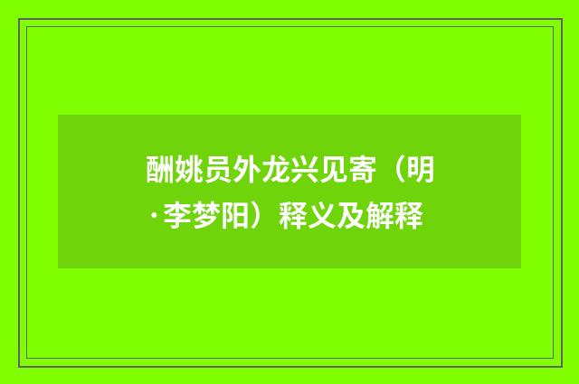 酬姚员外龙兴见寄（明·李梦阳）释义及解释