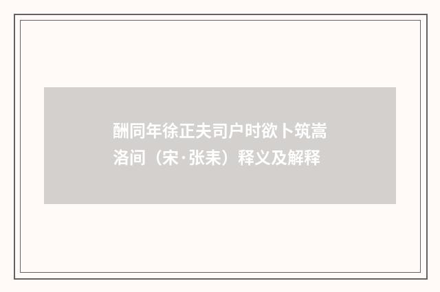 酬同年徐正夫司户时欲卜筑嵩洛间（宋·张耒）释义及解释