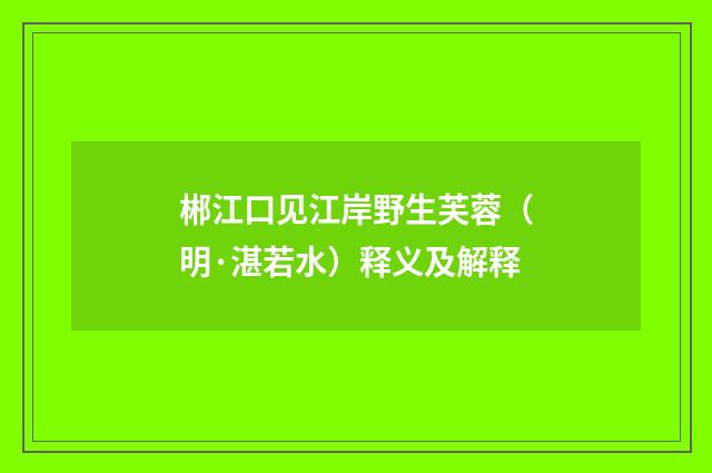郴江口见江岸野生芙蓉（明·湛若水）释义及解释
