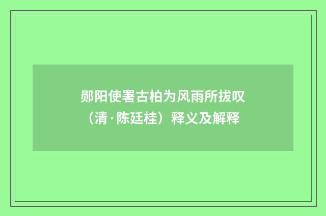 郧阳使署古柏为风雨所拔叹（清·陈廷桂）释义及解释
