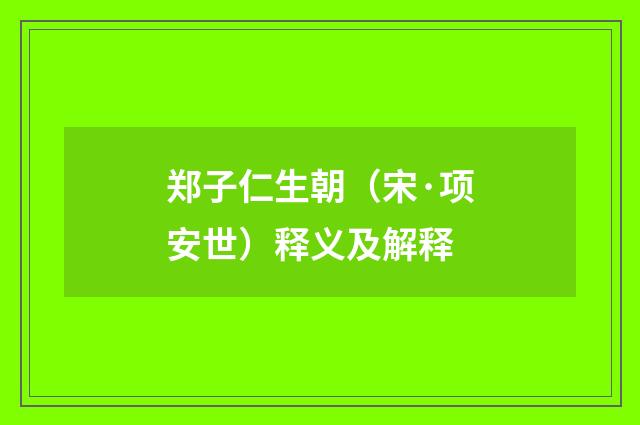 郑子仁生朝（宋·项安世）释义及解释
