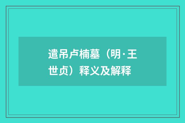 遣吊卢楠墓（明·王世贞）释义及解释