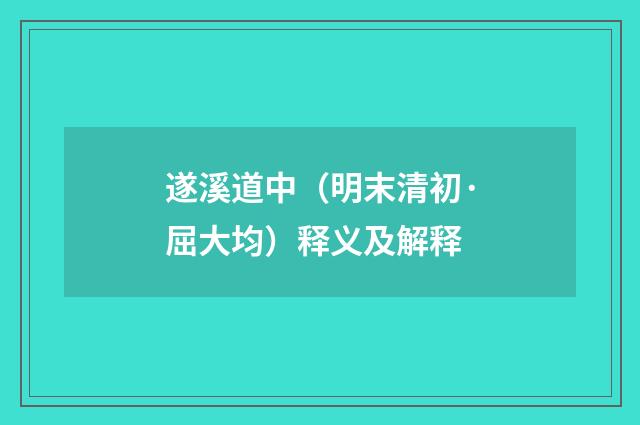 遂溪道中（明末清初·屈大均）释义及解释