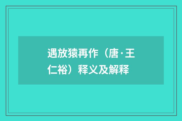 遇放猿再作（唐·王仁裕）释义及解释