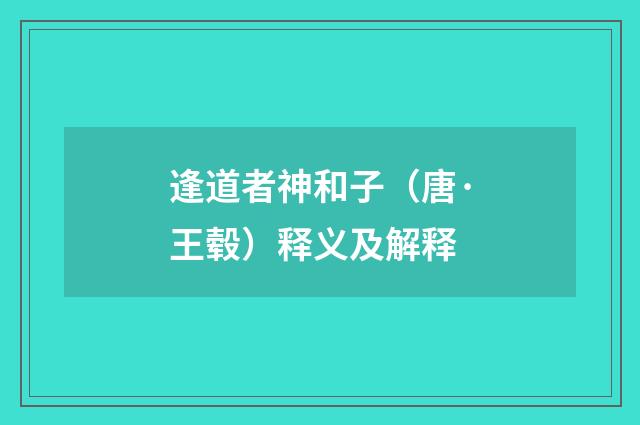 逢道者神和子（唐·王毂）释义及解释