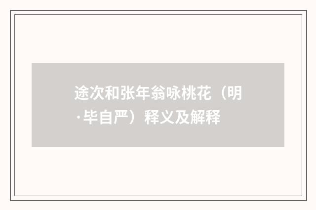 途次和张年翁咏桃花（明·毕自严）释义及解释