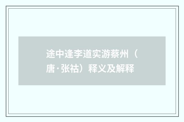 途中逢李道实游蔡州（唐·张祜）释义及解释